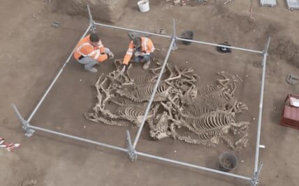 Remains of horses buried 2,000 years ago found in central France