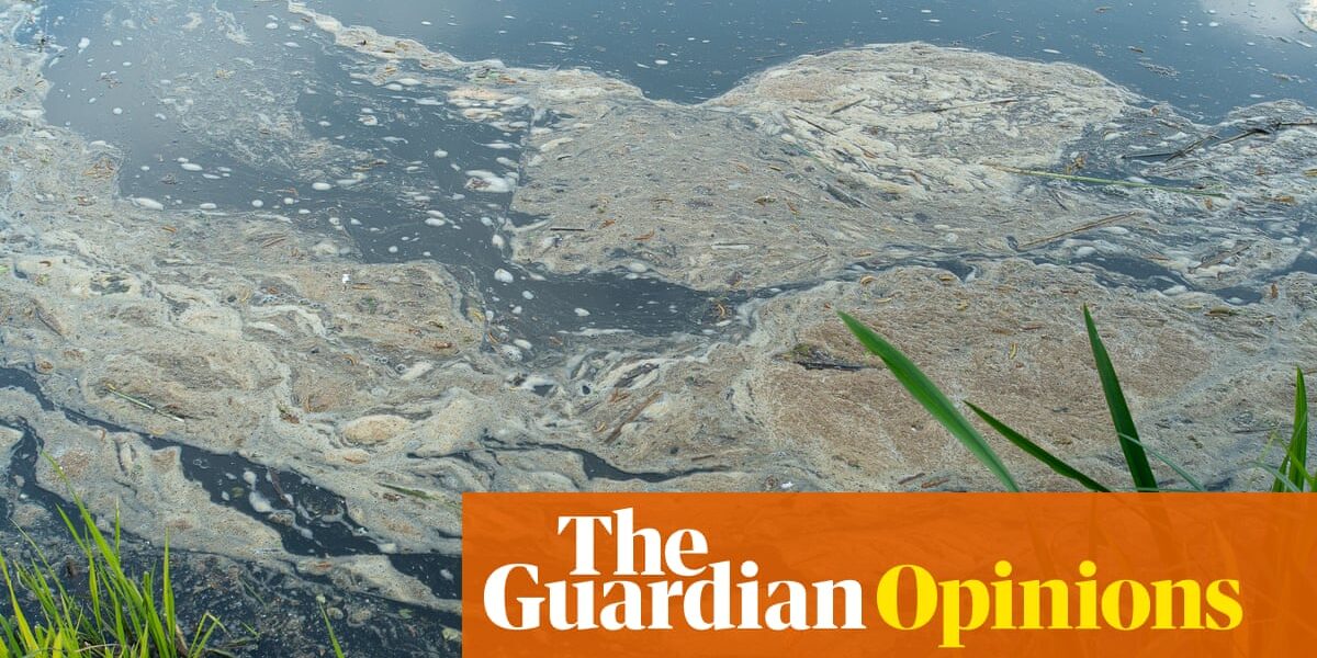 The Guardian view on Britain’s dirty waterways: a failure of industry and regulation | Editorial