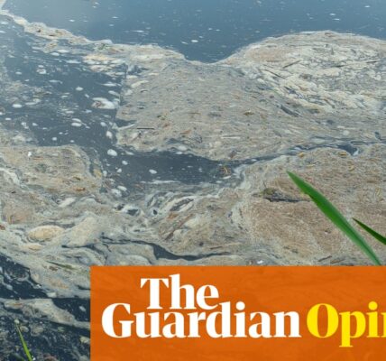 The Guardian view on Britain’s dirty waterways: a failure of industry and regulation | Editorial