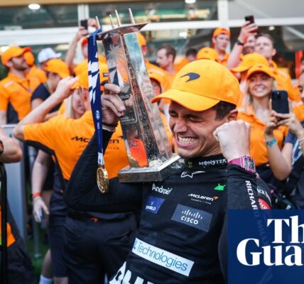 'Today was my day': Lando Norris proud to win first Grand Prix – video