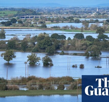 UK farmers consider quitting after extreme wet weather and low profits