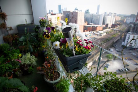 Where the wild things are: the untapped potential of our gardens, parks and balconies