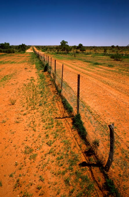 A section of Australia’s wild dog fence
