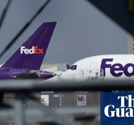 Air freight greenhouse gas emissions up 25% since 2019, analysis finds