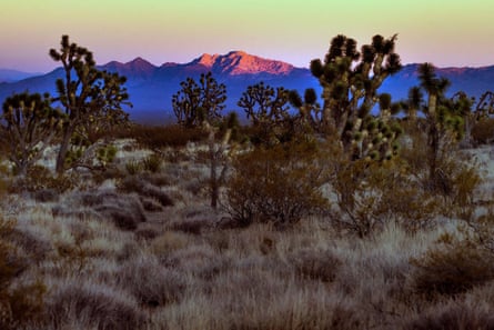 Spirit Mountain reflects the last glow of sunlight within the Avi Kwa Ame proposed national monument site on 1 March 2022, near Searchlight, Nevada.