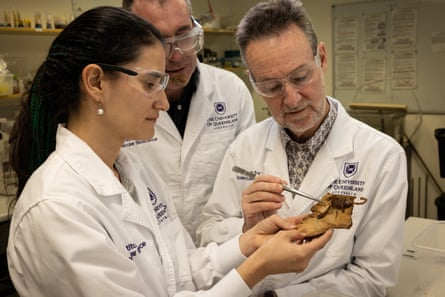 Dani Rojas-Azofeifa, Andy Walker and Glenn King examine a live scorpion in their University of Queensland lab