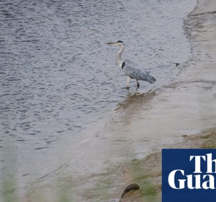Citizen testing finds 75% of rivers in Britain in poor ecological health