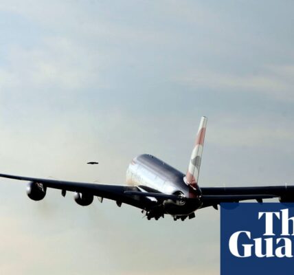 Ex-BA boss: drop green aviation policies if costs outweigh benefits