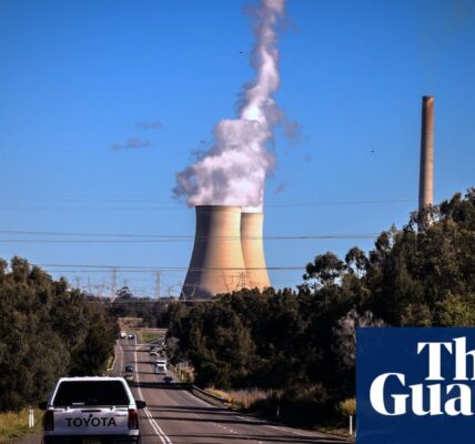 Germany’s top climate envoy says ‘this is the critical decade’ after Dutton ditches 2030 target