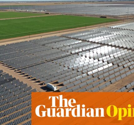 It doesn’t make sense: why US tariffs on Chinese cleantech risk the green transition | Jeffrey Frankel