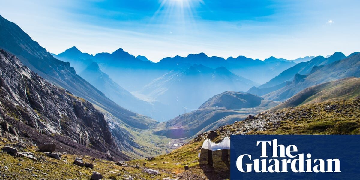 ‘Magical’: 17m insects fly each year through narrow pass in Pyrenees, say scientists