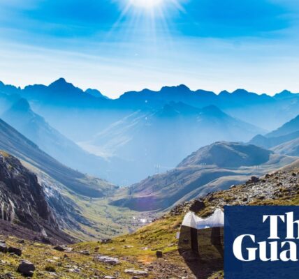 ‘Magical’: 17m insects fly each year through narrow pass in Pyrenees, say scientists