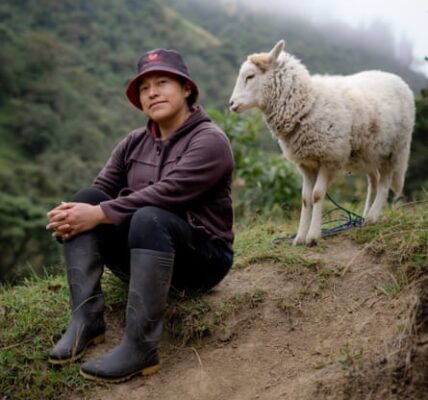 ‘More profitable than farming’: how Ecuador’s birding boom is benefiting wildlife