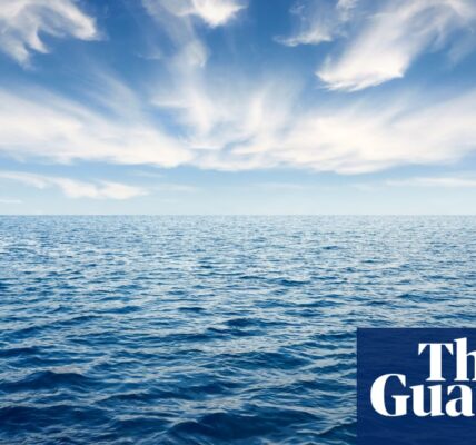 Oceans face ‘triple threat’ of extreme heat, oxygen loss and acidification