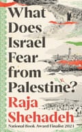 Palestinian author Raja Shehadeh: ‘All this solidarity from the world – yet nothing has changed’