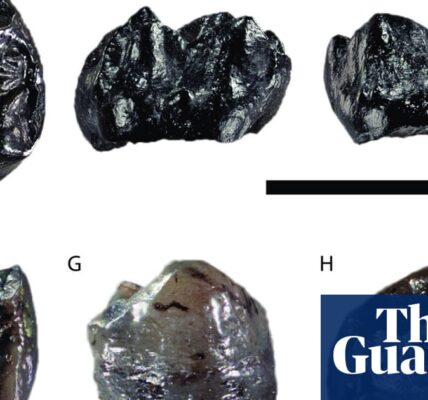 Smallest known great ape, which lived 11m years ago, found in Germany