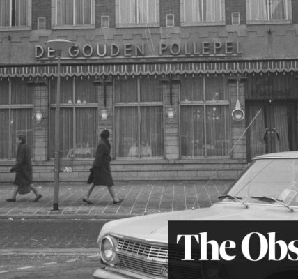 The Safekeep by Yael van der Wouden review – secrets and sex in postwar Europe