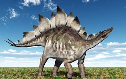The super-rich are buying up dinosaur bones – and now they want our near-perfect Stegosaurus | David Hone