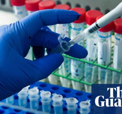 Top scientists turning down UK jobs over ‘tax on talent’, says Wellcome boss