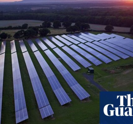 World will miss target of tripling renewable electricity generation by 2030 – IEA