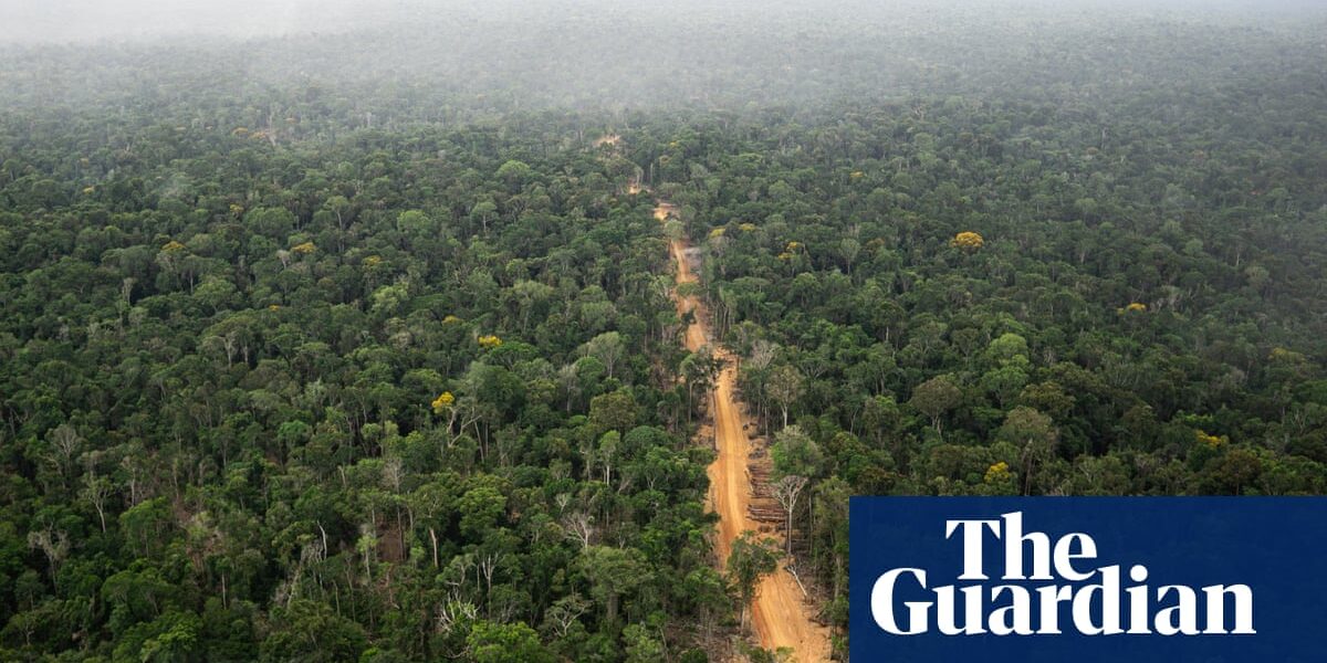 World’s top banks ‘greenwashing their role in destruction of the Amazon’
