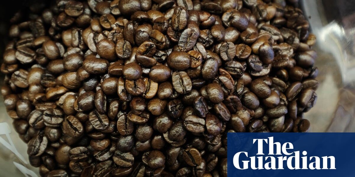 Coffee, eggs and white rice linked to higher levels of PFAS in human body
