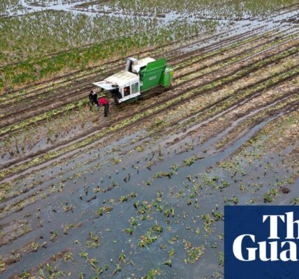 Disastrous fruit and vegetable crops must be ‘wake-up call’ for UK, say farmers