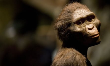 Fifty years on, how Lucy, the mother of humanity, changed our understanding of evolution