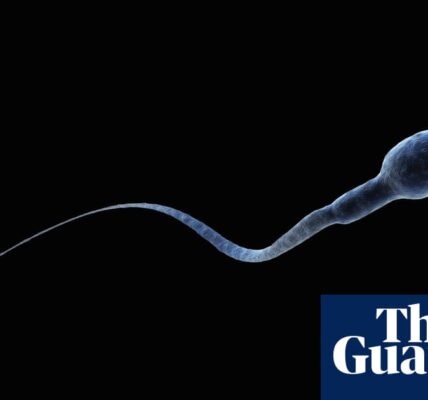 ‘Spermageddon’: is male fertility really in crisis? – podcast
