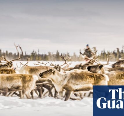 The End of Drum-Time by Hanna Pylväinen review – a sweeping Sámi epic