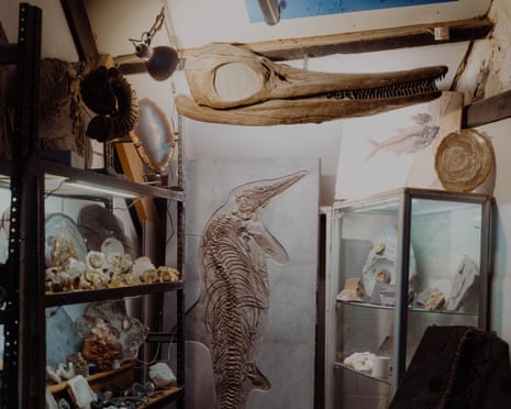Fossils on display inside Chris and Alex Moore’s shop in Charmouth.