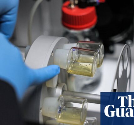 Work on synthetic human embryos to get code of practice in UK